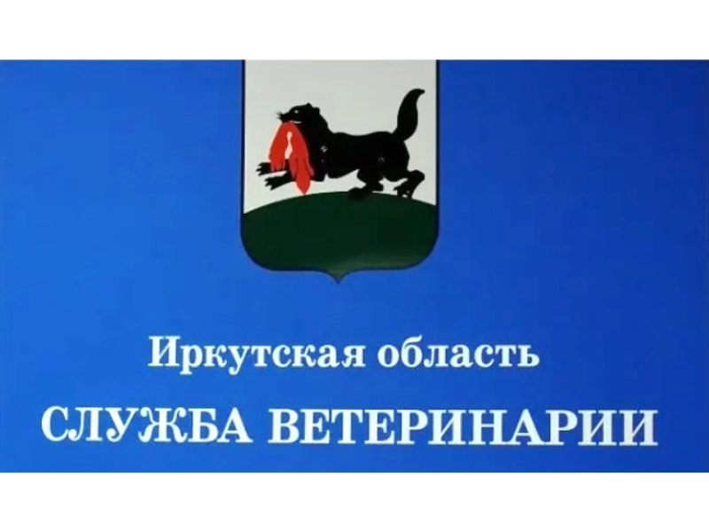 Нарушений нет.