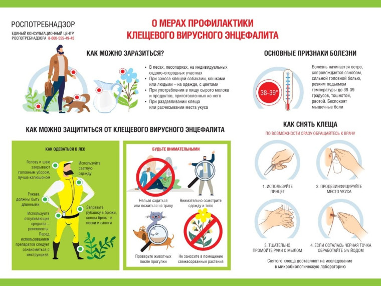 Профилактика клещевого вирусного энцефалита.
